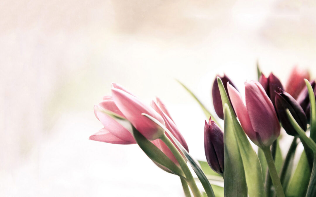 Construyendo confianza y conexiones profundas en un mundo de desinformación: salud integral