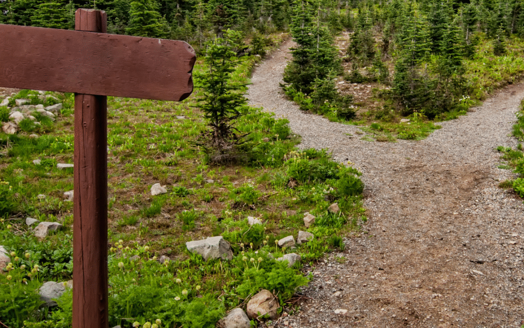 ¿Qué solucionan tus servicios? Tu cliente quiere creer en ti: muéstrale el camino